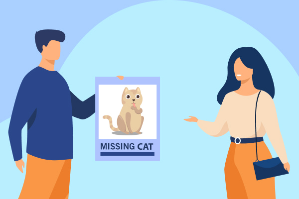 find lost indoor cat